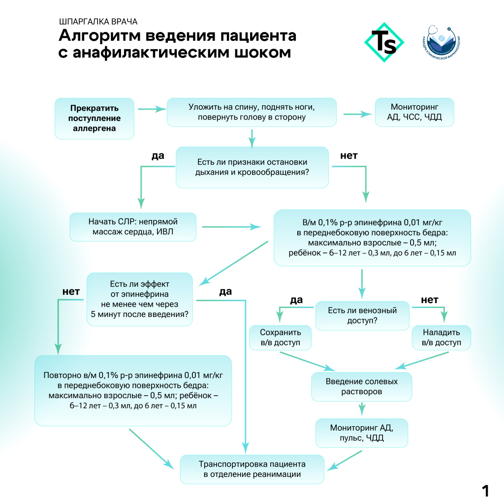 Алгоритм_анафилактический_шок_Монтажная_область_1.jpg