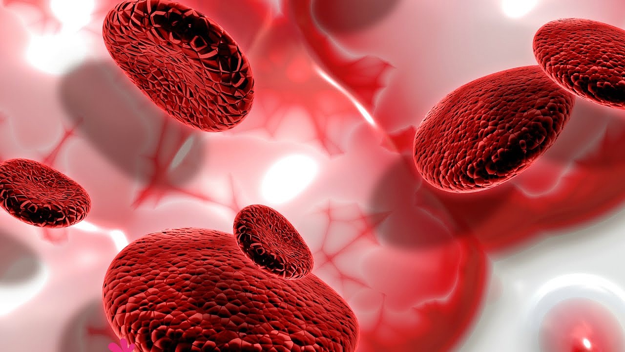 Стволовые клетки крови делают злокачественные опухоли головного мозга более агрессивными
