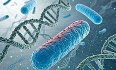 Связь микробиома ротовой полости и рака поджелудочной железы