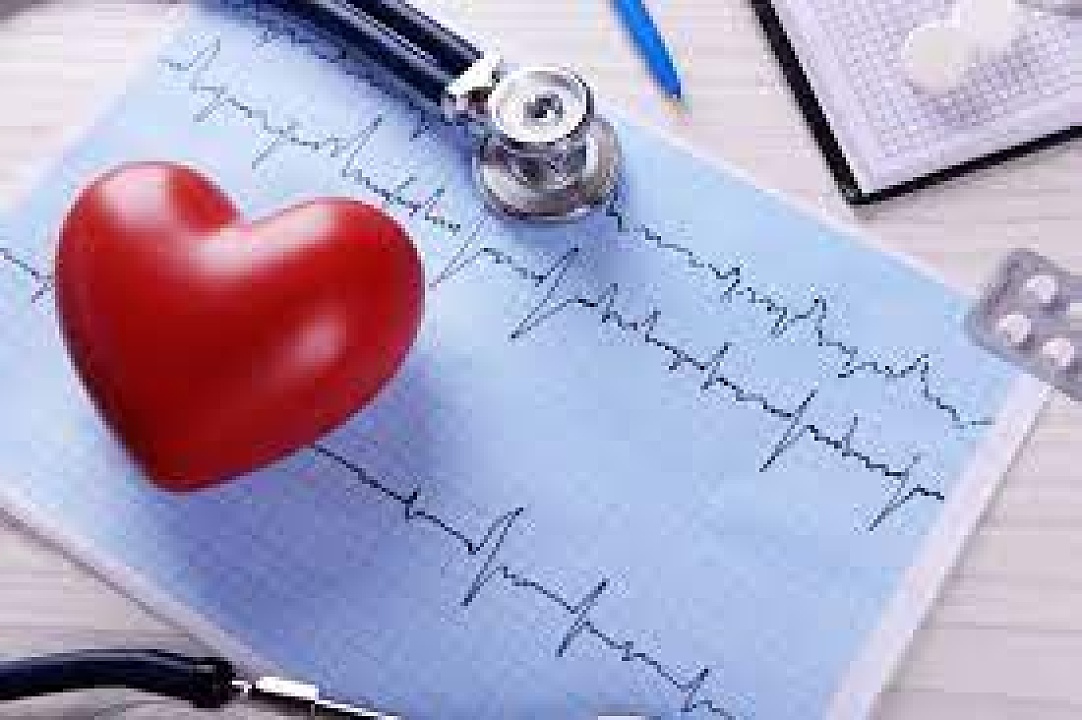 Раскрыт глубинный механизм развития сердечной недостаточности: сообщения консорциума ученых шести стран