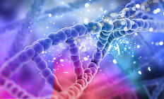 Питание по генам: есть ли будущее у ДНК-диет?