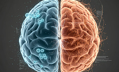 Когнитивный диссонанс в лечении болезни Альцгеймера