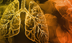 Ожирение, дыхание и функция легких: звенья патогенеза и данные последних наблюдений