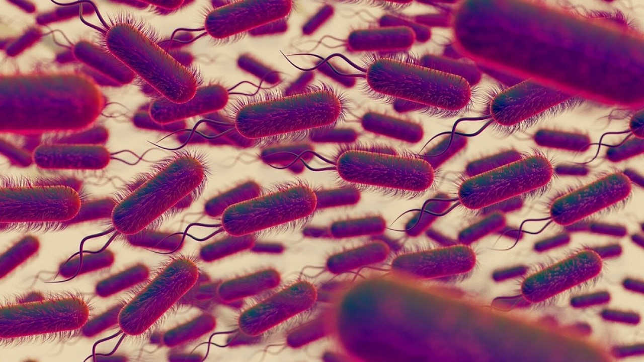 Влияние метформина на кишечную микробиоту человека