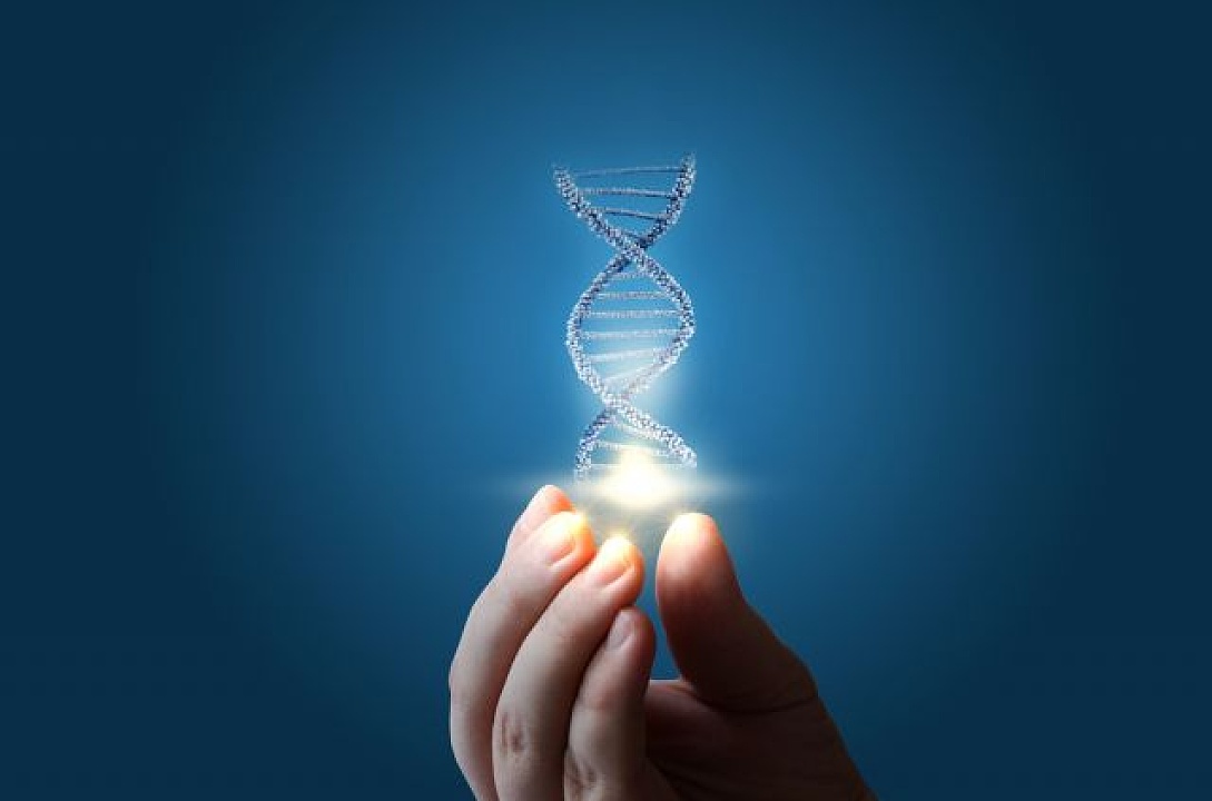 На базе геномного редактора создана «ДНК-печатная машинка»